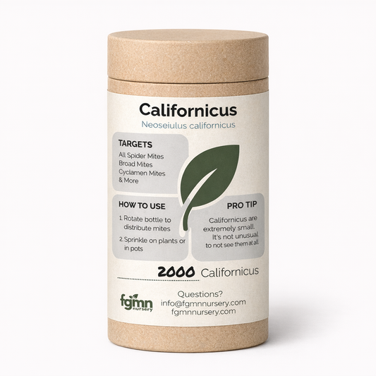 Fungus gnat and mite treatment bottles containing Neoseiulus californicus predatory mites from FGMN Nursery.