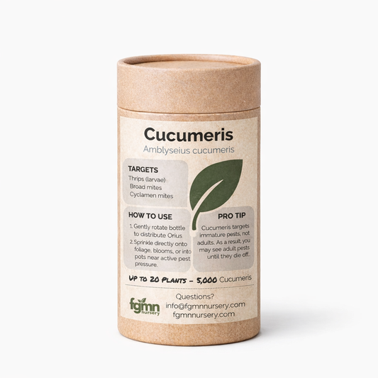 Fungus gnat mite treatment bottles featuring Amblyseius cucumeris from FGMN Nursery for pest control in crops.