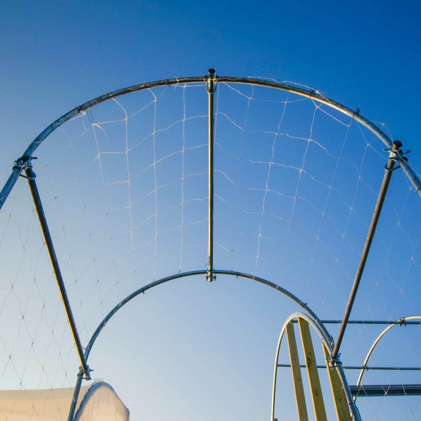 Close-up of a DIY garden arch made of EMT metal piping by Bootstrap Farmer, showing detailed assembly and sturdy construction.