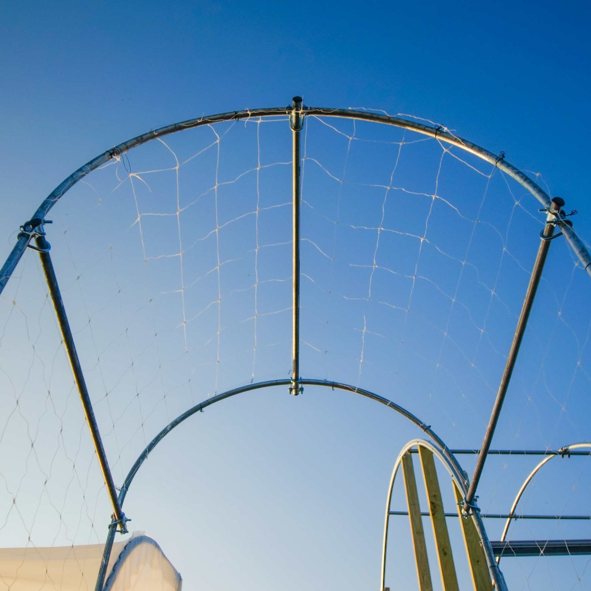 Close-up of a DIY garden arch made of EMT metal piping by Bootstrap Farmer, showing detailed assembly and sturdy construction.