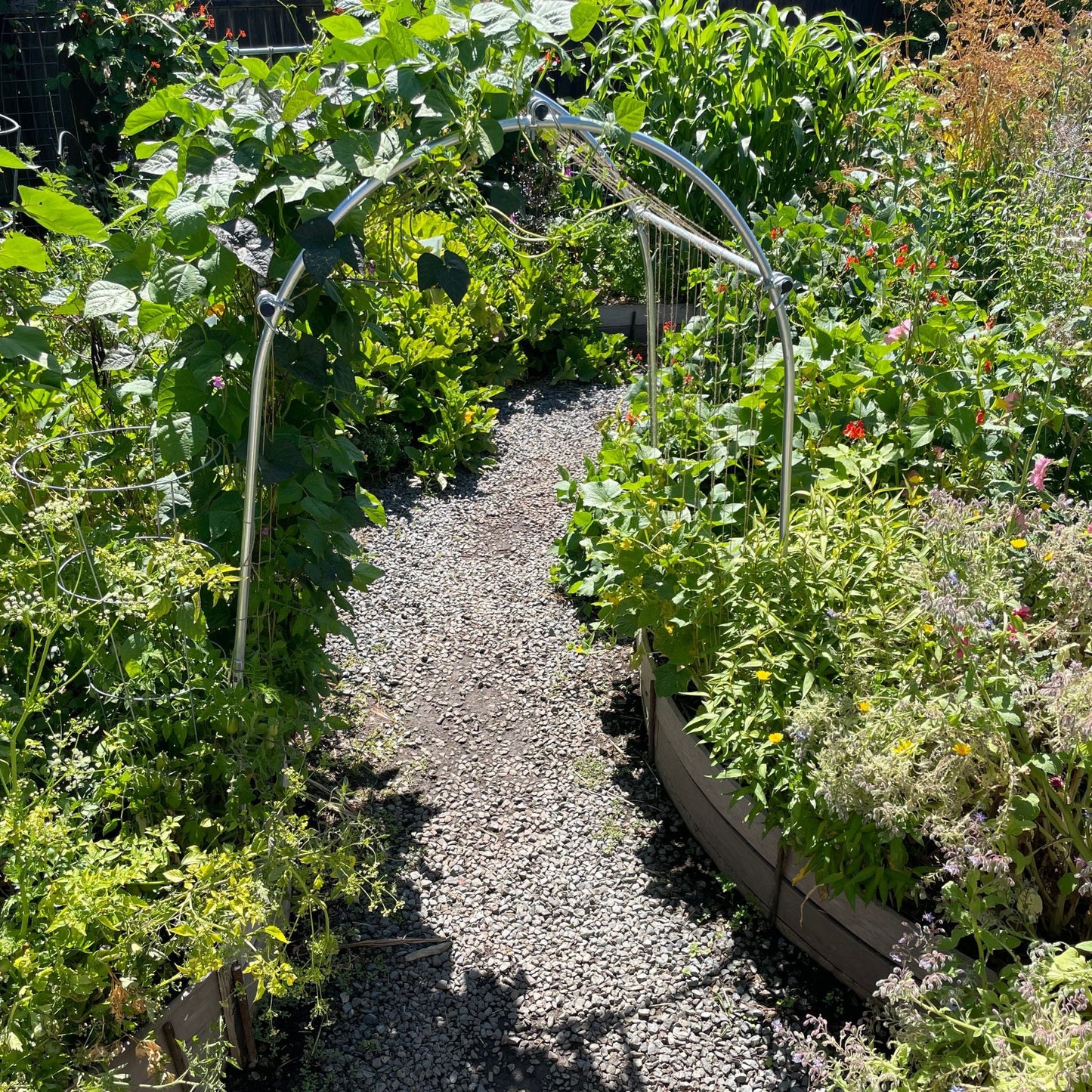DIY garden arch with climbing plants, made by Bootstrap Farmer, featuring a wooden arch structure in a garden setting