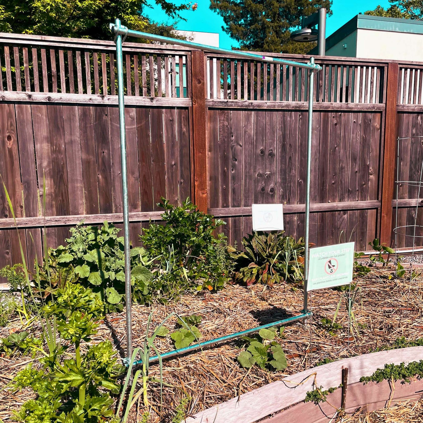 DIY vine trellis by Bootstrap Farmer showing a wooden frame structure for supporting climbing plants in a garden.