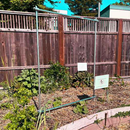 DIY vine trellis by Bootstrap Farmer showing a wooden frame structure for supporting climbing plants in a garden.