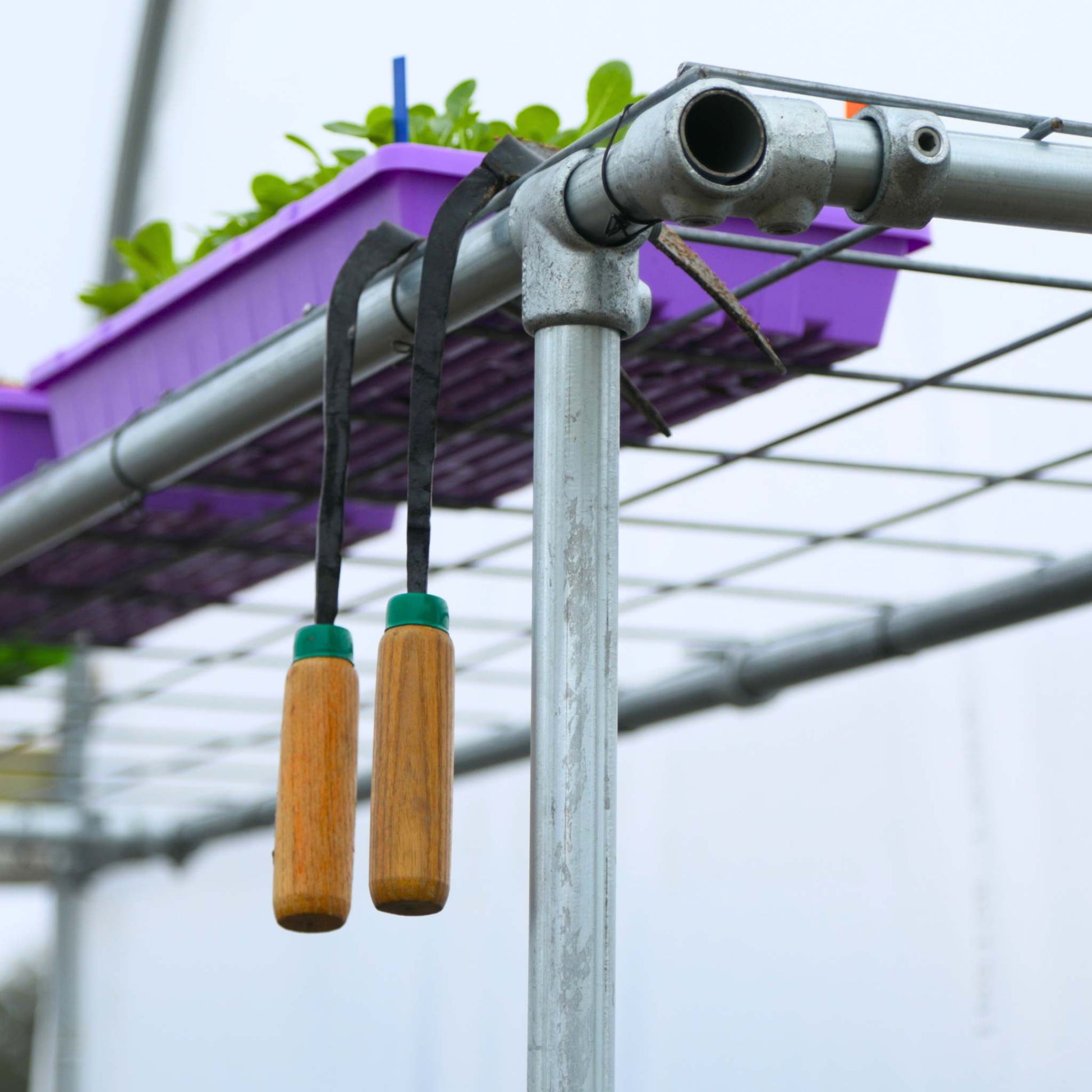 Foldable DIY potting bench by Bootstrap Farmer inside a hobby greenhouse, featuring a green finish and workspace surface.