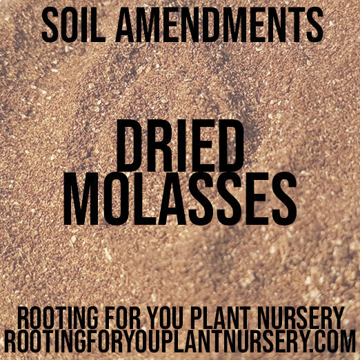 Dried molasses soil amendment bag from Rooting For You Plant Nursery, showing the packaging and product label.