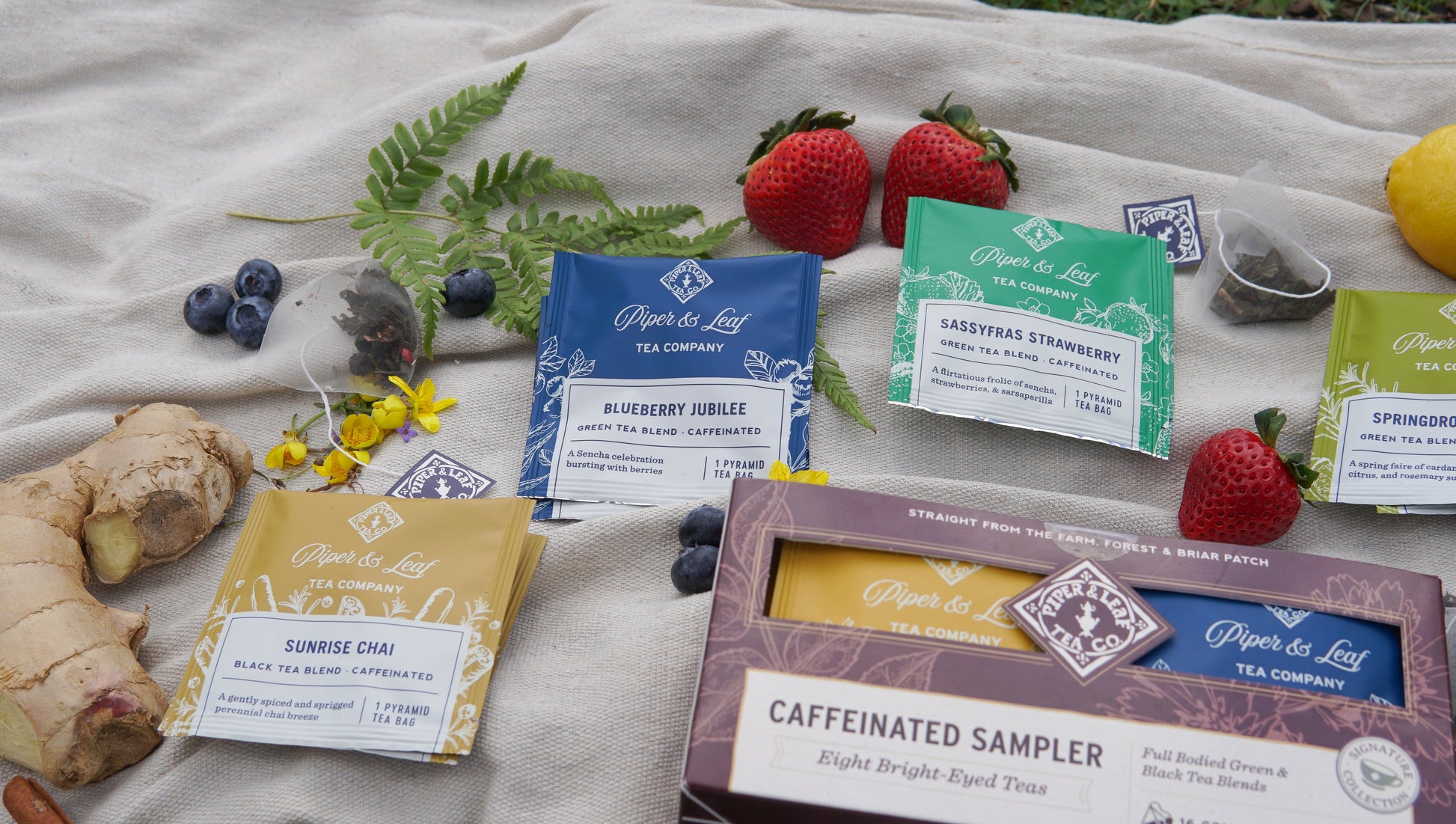 Box of 12 Piper and Leaf Tea Co. caffeinated tea bags for tasting flights, featuring colorful packaging and individual tea bag wrappers.