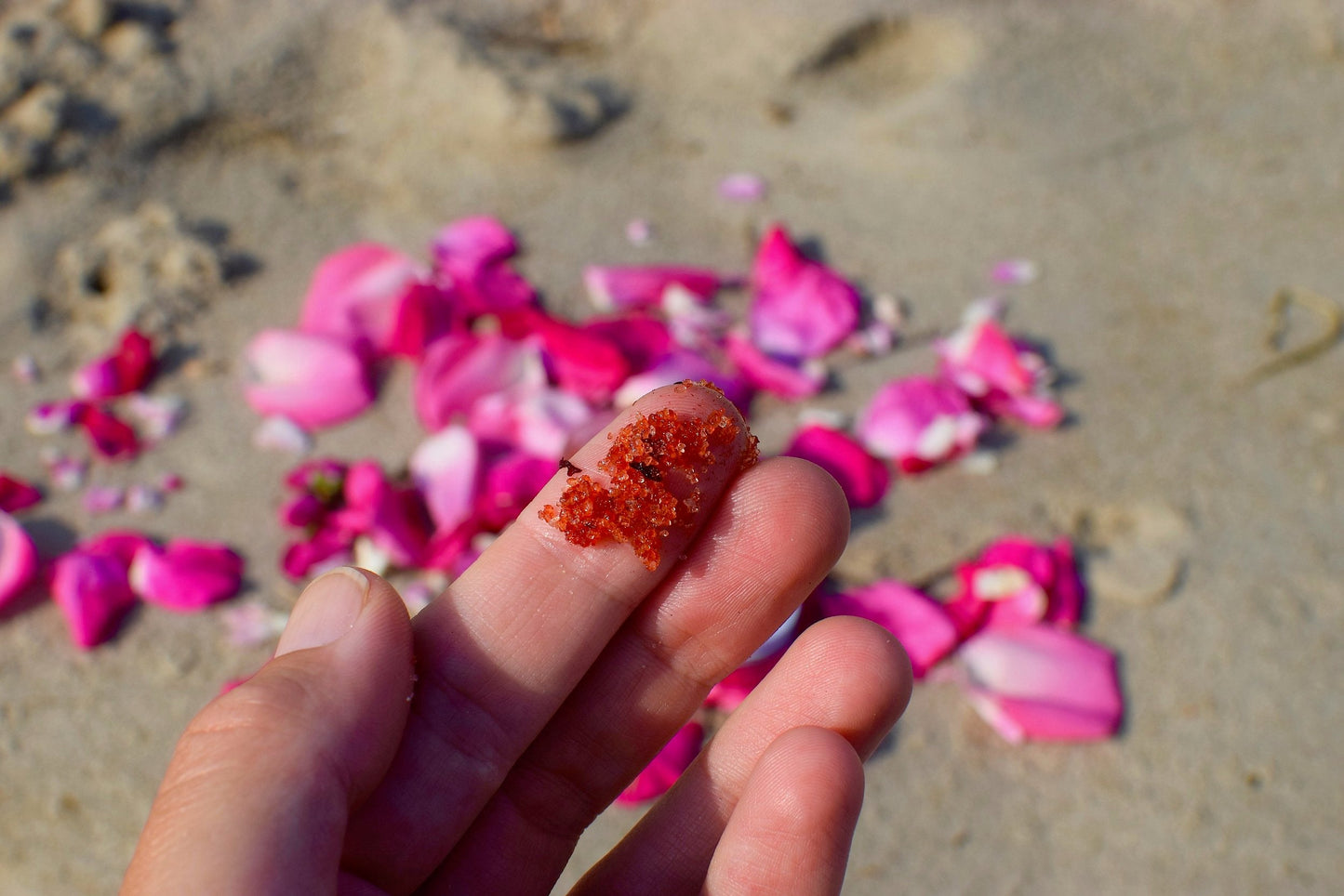 Plant Makeup Beach Rose Scrub jar with natural ingredients and floral scent, shown on a neutral background.