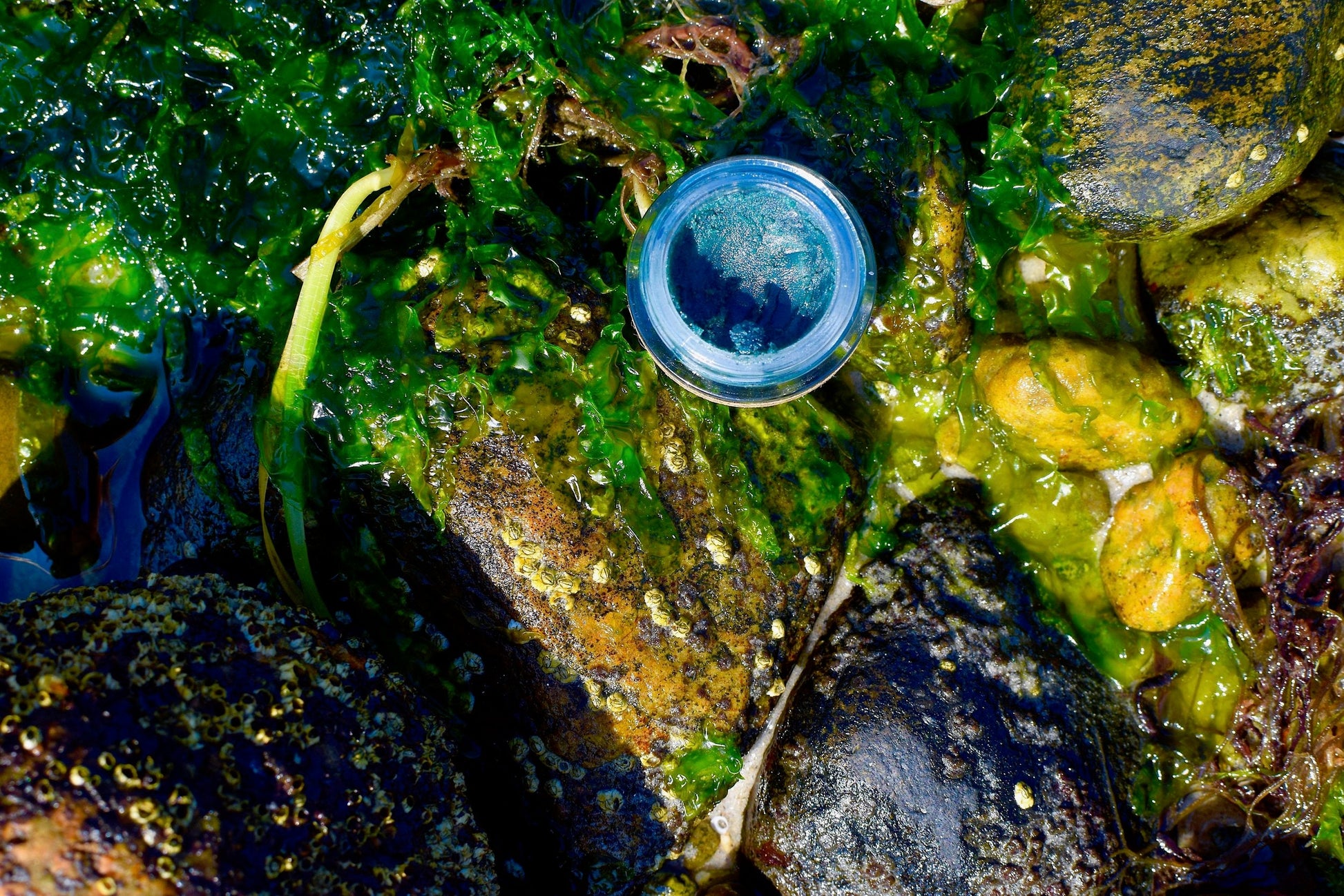Plant Makeup Mermaid Makeup Balm in a sleek container, showcasing shimmering, colorful balm with mermaid-inspired packaging.