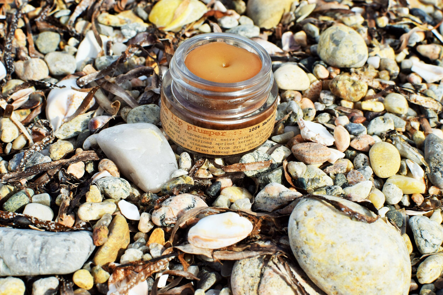 Plant Makeup Cinnamon Lip Plumper showing glossy lips with a subtle cinnamon tint and plumping effect.