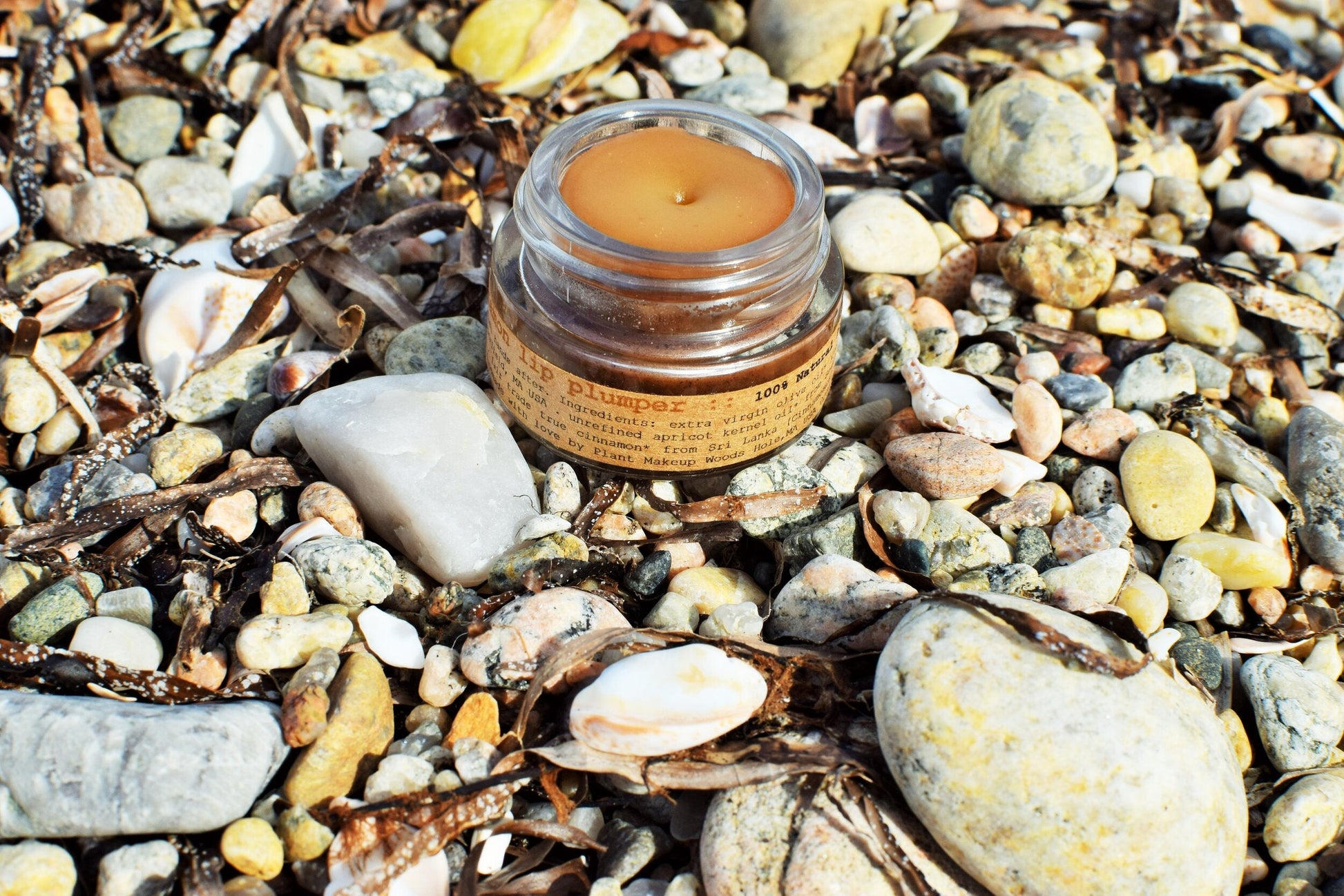 Plant Makeup Cinnamon Lip Plumper showing glossy lips with a subtle cinnamon tint and plumping effect.