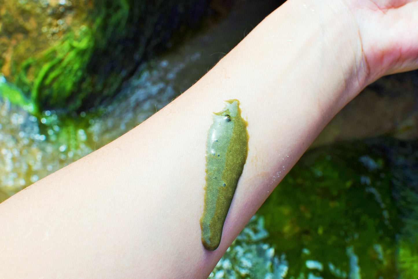 Close-up of a Facefood skincare product from plant makeup, featuring natural ingredients and eco-friendly packaging.