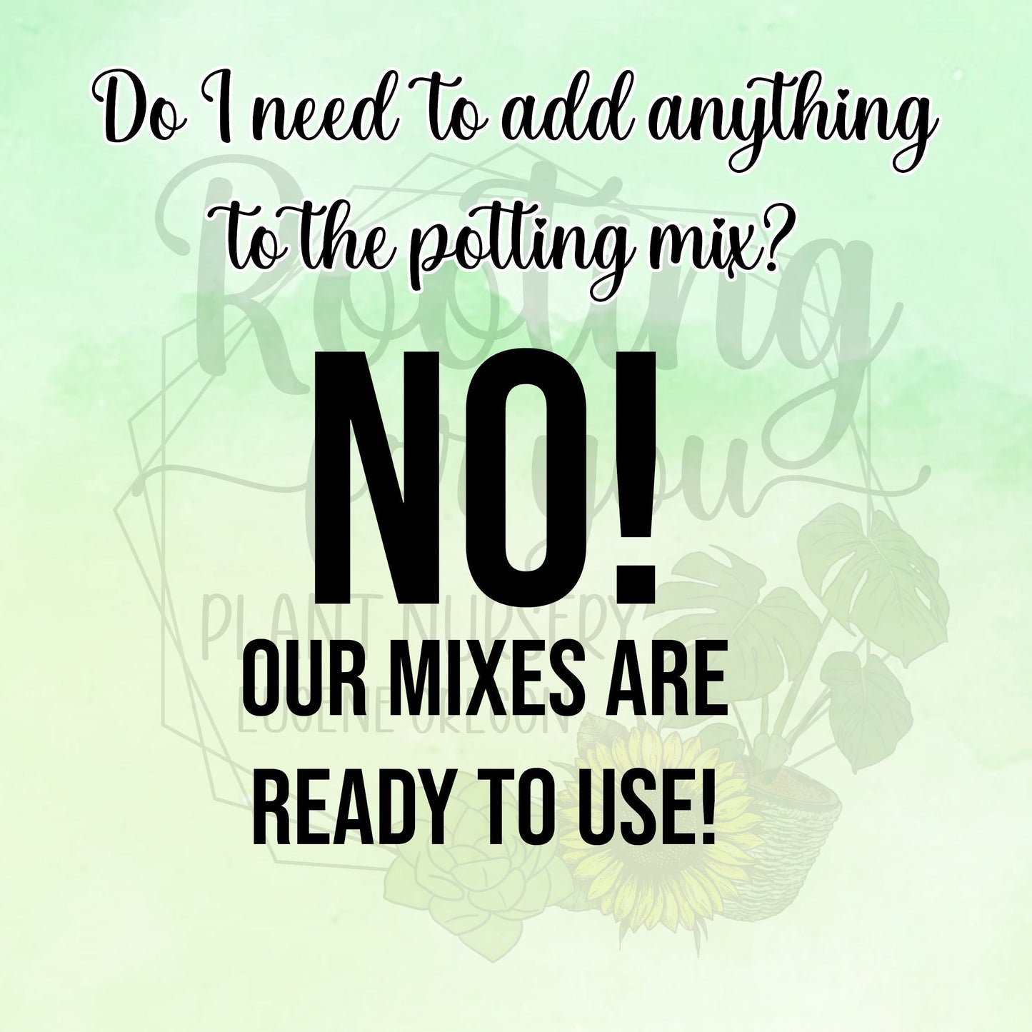 Rose Premium Potting Mix from Rooting For You Plant Nursery, with rich, well-draining soil ideal for healthy rose growth.