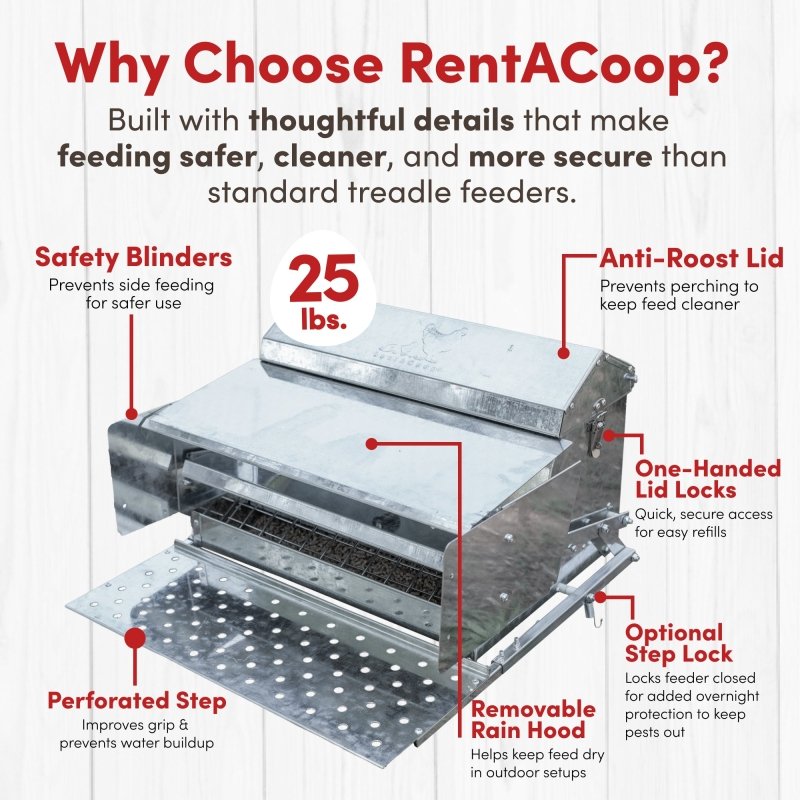 RentACoop 25lb automatic metal treadle feeder for poultry, featuring a durable design for easy feeding and water management.