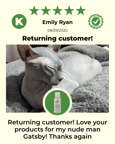 ReNewedPet 4-Hairless Pets Sensitive Conditioner bottle with label, designed for gentle pet skincare.
