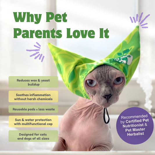 ReNewedPet ear care kit for pets, featuring grooming tools and cleaning solutions for healthy pet ears.
