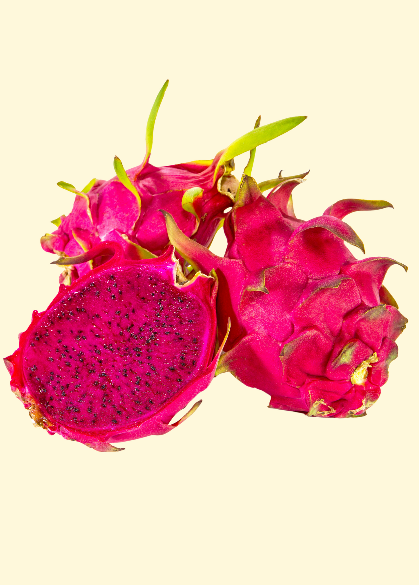 Healthy Edgar's Baby dragon fruit plant by Sow Exotic with vibrant green stems and developing fruit on a sunny plant.