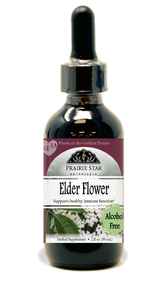Dried elder flower singles from Prairie Star Botanicals, showing delicate pale yellow blossoms on a white background.