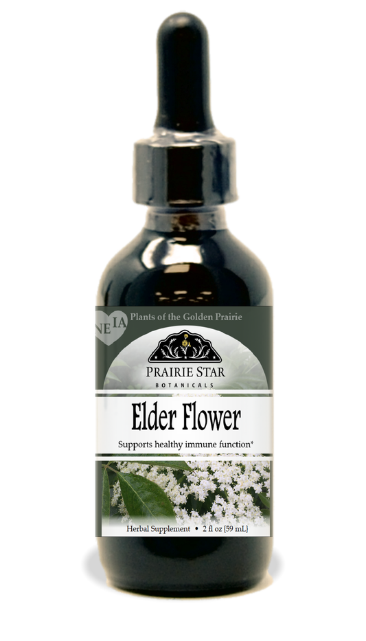 Dried elder flower singles from Prairie Star Botanicals, with delicate white blossoms and green stems on a neutral background.