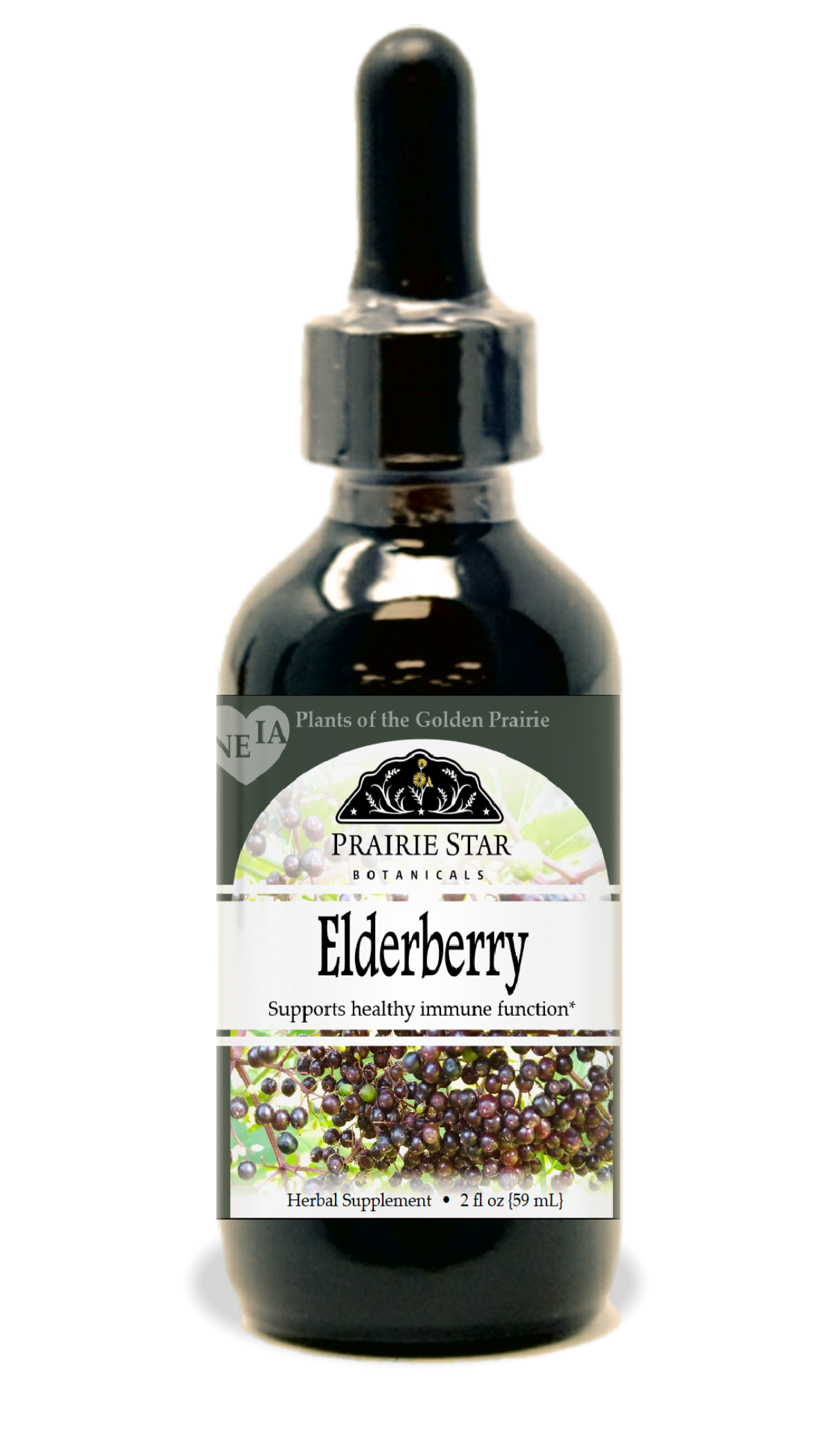 Single elderberry from Prairie Star Botanicals, fresh and vibrant elderberry for herbal remedies or cooking.