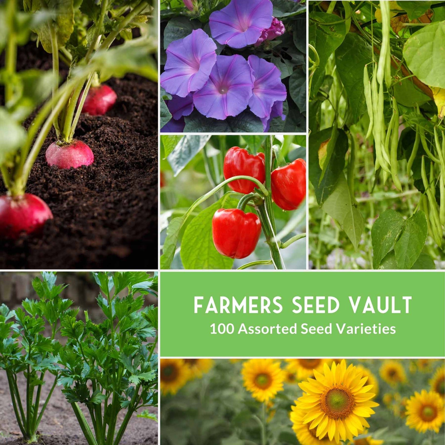 Farmer-Collection vegetable seeds from SurvivalGardenSeeds, including a variety of seeds for a complete survival garden kit.