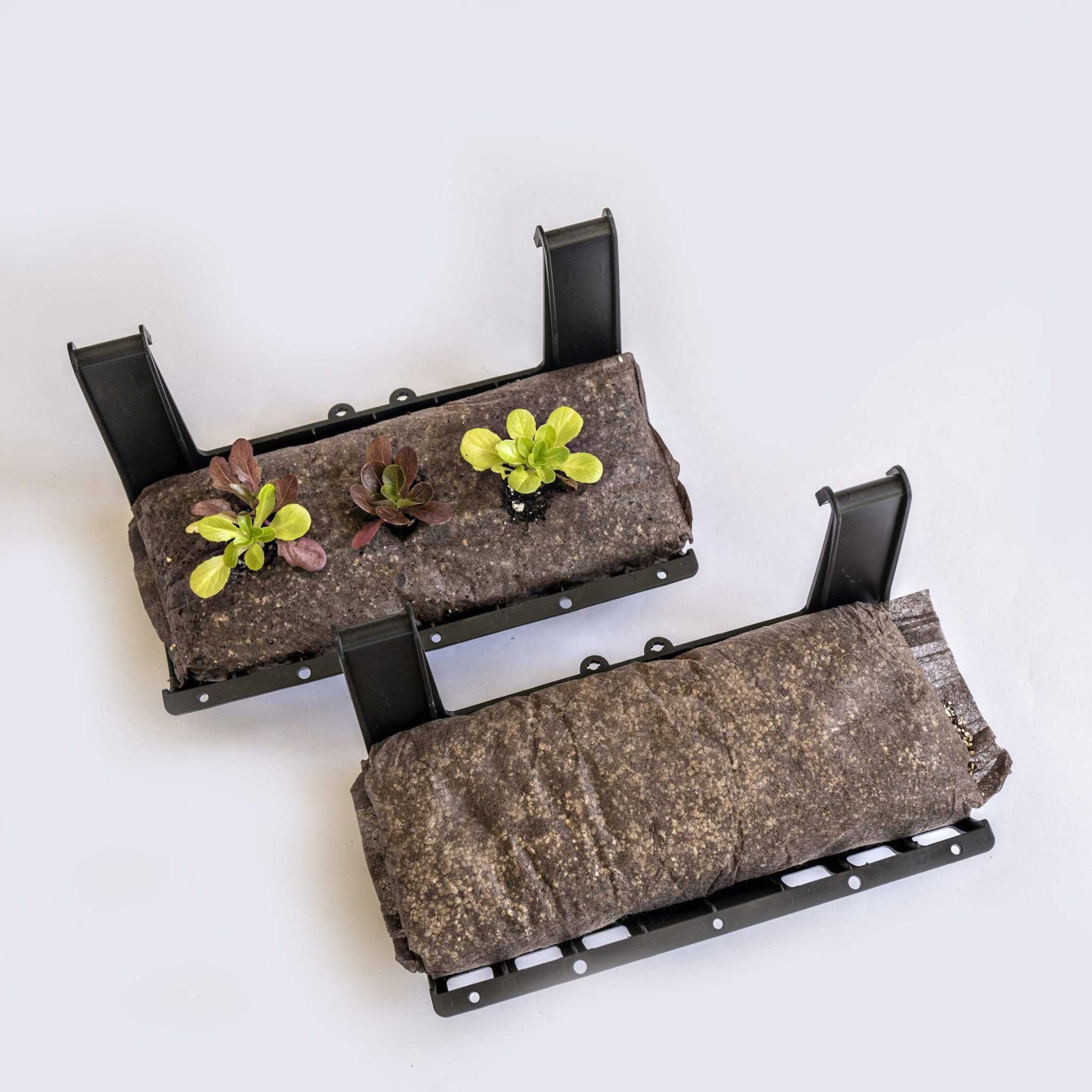 Filled Bootstrap Farmer Ellepot pouches in trays for vertical gardens, showing lush green seedlings ready for planting.