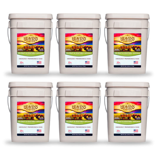 Six-pack of Heaven's Harvest Fruit and Vegetable Buckets showing colorful dried fruits and vegetables in plastic containers.