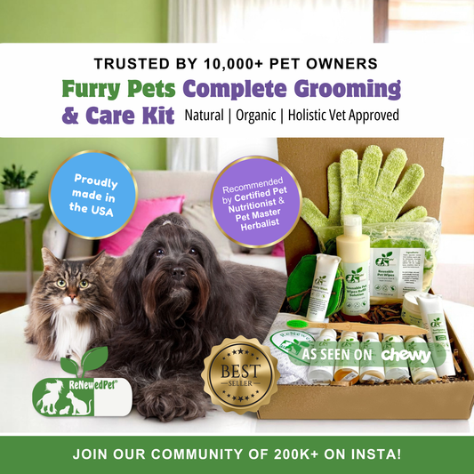 ReNewedPet 4-Furry Friends Dog Grooming Kit with four grooming tools for regular pet grooming, featuring colorful handles and brushes.