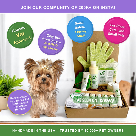 Four furry dogs from ReNewedPet's sensitive grooming kit, showcasing soft coats and grooming tools in the image.