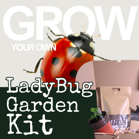 Hasty Roots LadyBug Garden Kit with soil, ladybug figurines, and planting materials for kids' gardening activity.