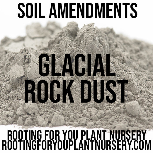 Close-up of glacial rock dust soil amendment from Rooting For You Plant Nursery, showing coarse mineral particles for garden soil enrichment.