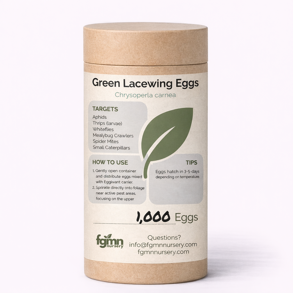 Green lacewing eggs in a bottle from FGMN Nursery, used for natural aphid prevention in gardening.