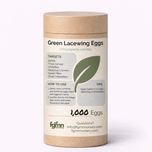 Green lacewing eggs in a bottle from FGMN Nursery, used for natural aphid prevention in gardening.