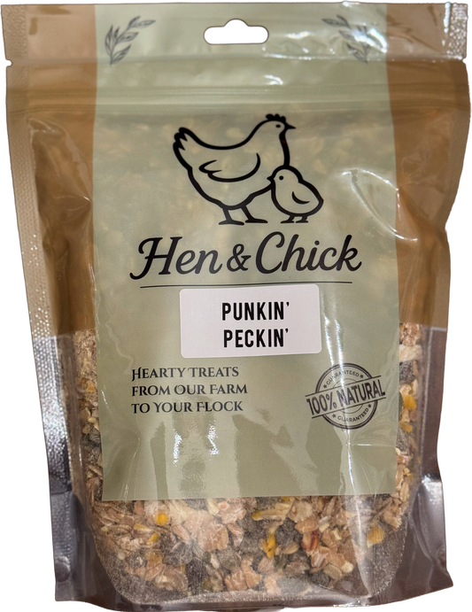 Front view of Hen & Chick Punkin' Peckin' treat featuring a pumpkin-shaped design with vibrant orange and black details.
