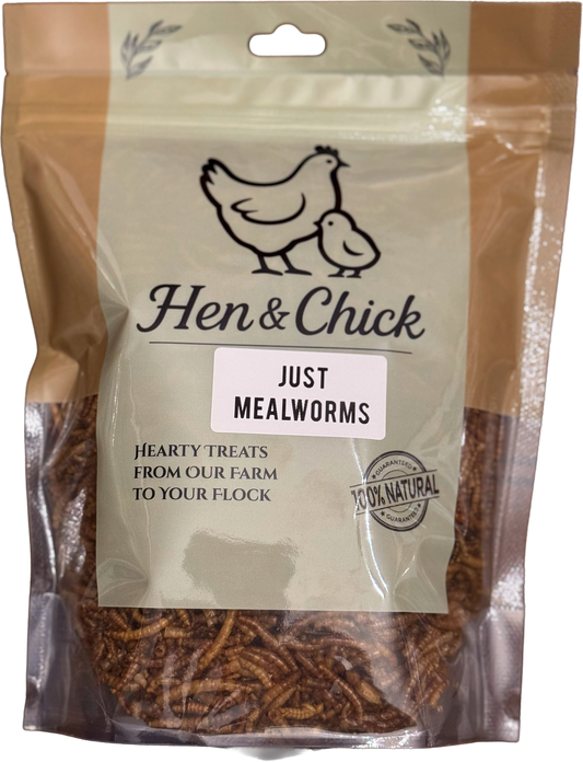 Hen & Chick Just Mealworms treat in a clear container, showing golden mealworms inside, ideal for bird nutrition and feeding.