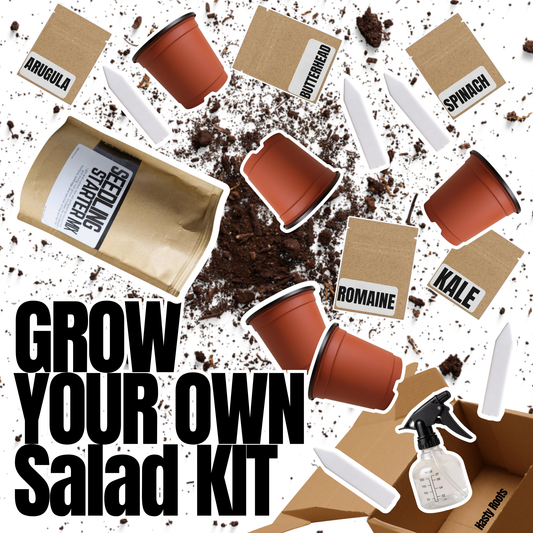 Hasty Roots salad kit with fresh greens and vegetables in a garden kit for growing your own salad at home.