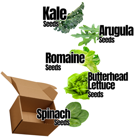 Hasty Roots salad garden kit with leafy greens and vegetables, ideal for growing fresh salads at home.