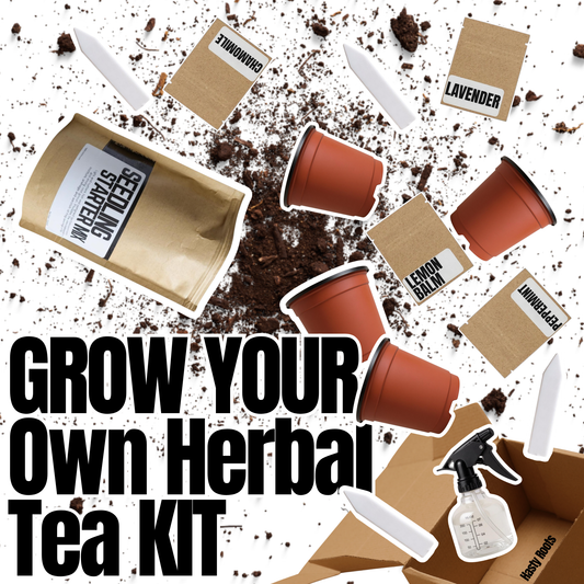 Hasty Roots herbal tea kit with various dried herbs and tea infuser in a natural setting, ready for brewing herbal teas.