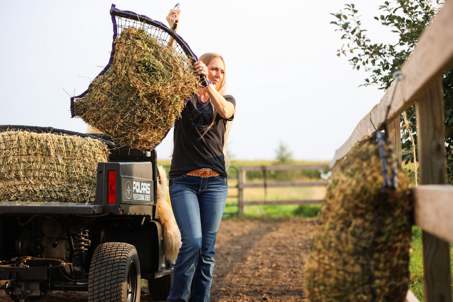 Regular haynet from Haylo Haynets, LLC with a tightly woven mesh, hanging filled with hay for easy feeding.