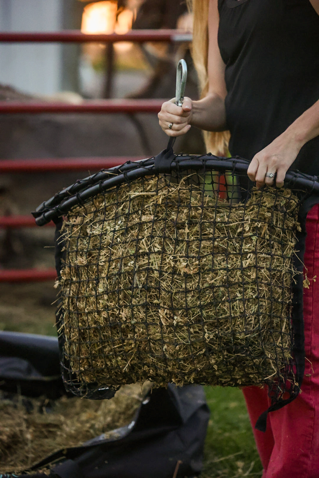 Small Haylo XS haynet from Haylo Haynets, LLC, showing a compact haynet with durable mesh and secure fastening for horse feeding.