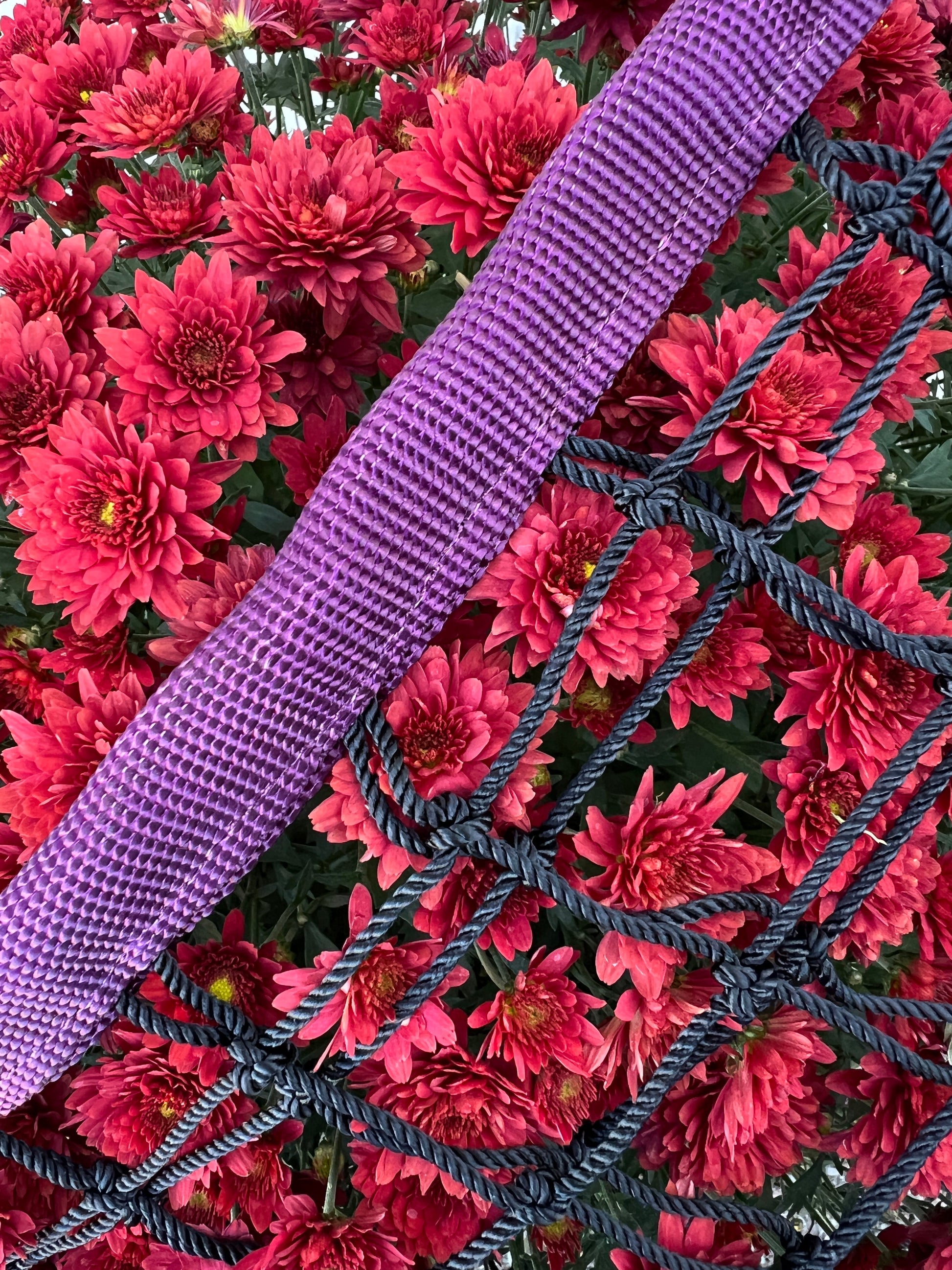 Limited edition maroon haynet from Haylo Haynets, LLC, showing a close-up of the durable, textured haynet designed for horse feeding.