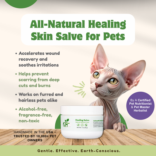ReNewedPet Healing Skin Salve jar showing natural ingredients and smooth application surface for skin health and repair.