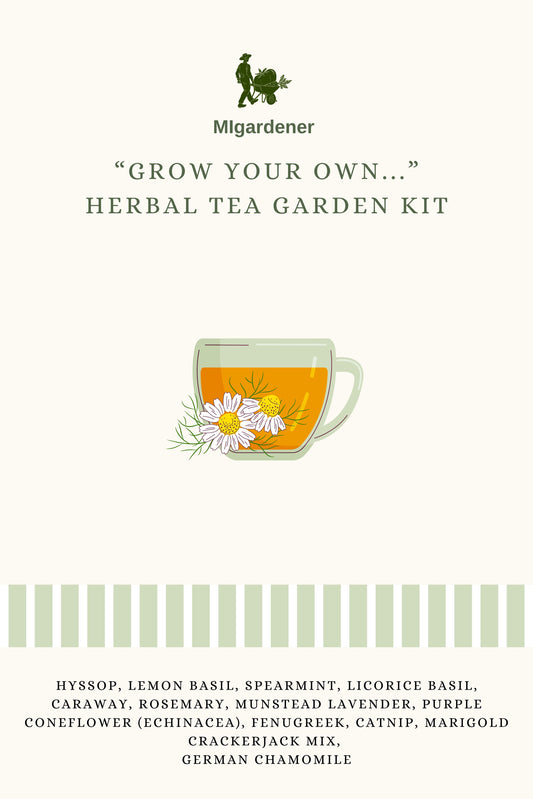 MIgardener herbal tea kit with various fresh herbs and tools for growing your own herbal tea at home.