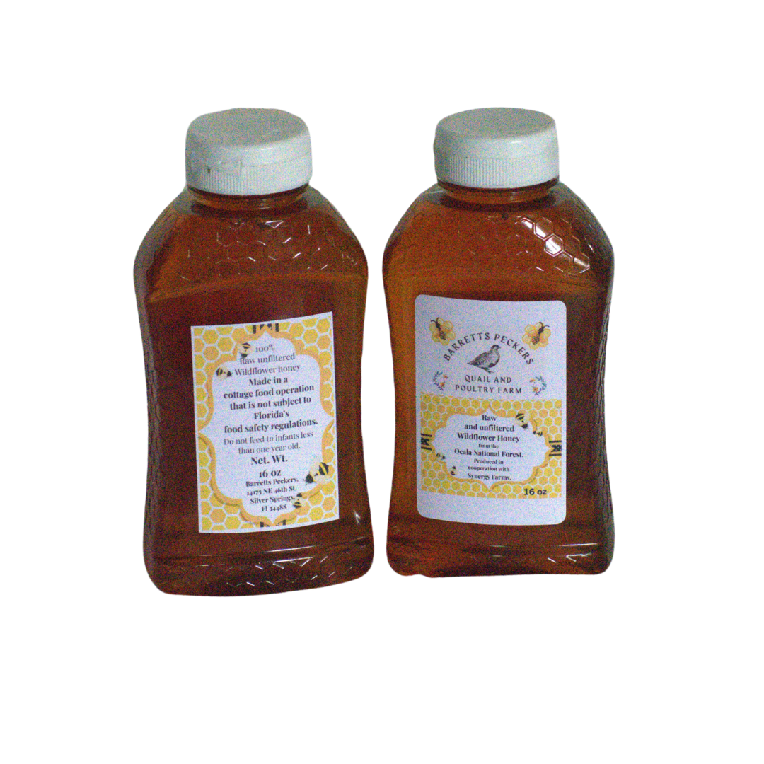 Raw, unfiltered wildflower honey from Ocala National Forest, shown in a glass jar with golden honey flowing.