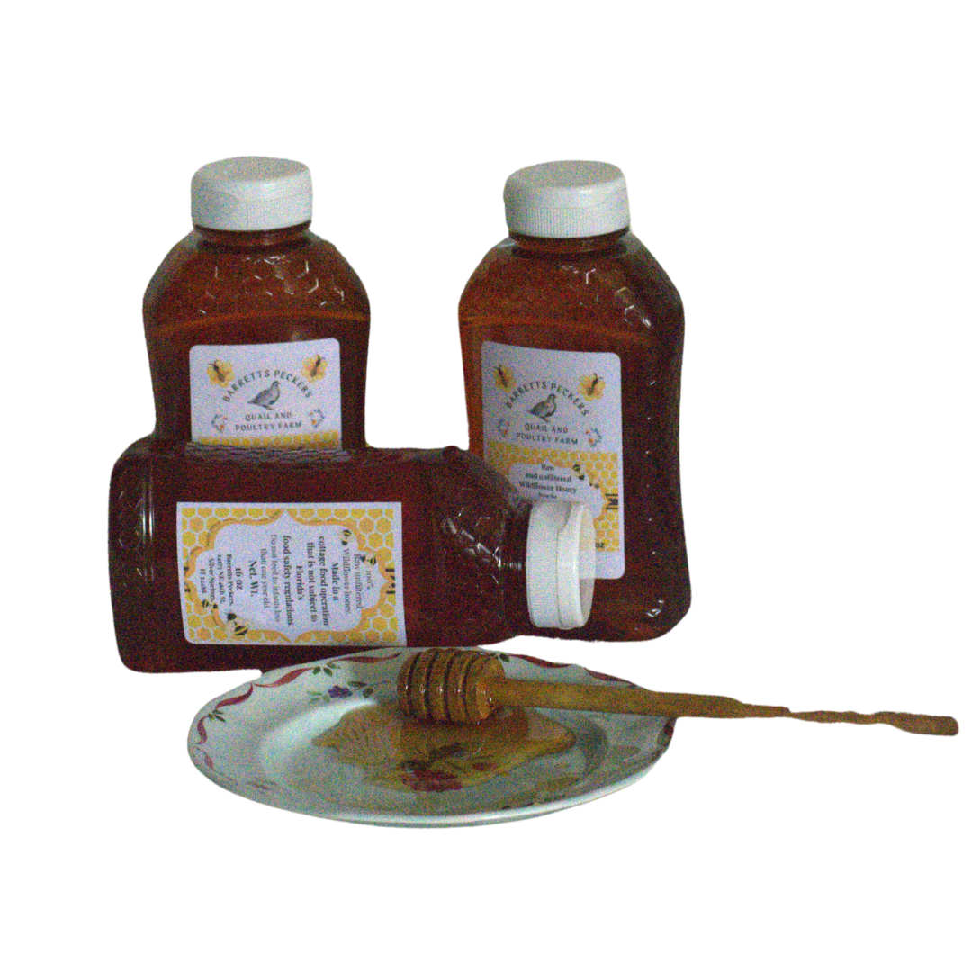 Raw and unfiltered wildflower honey from Ocala National Forest, showcasing golden honey in a glass jar.