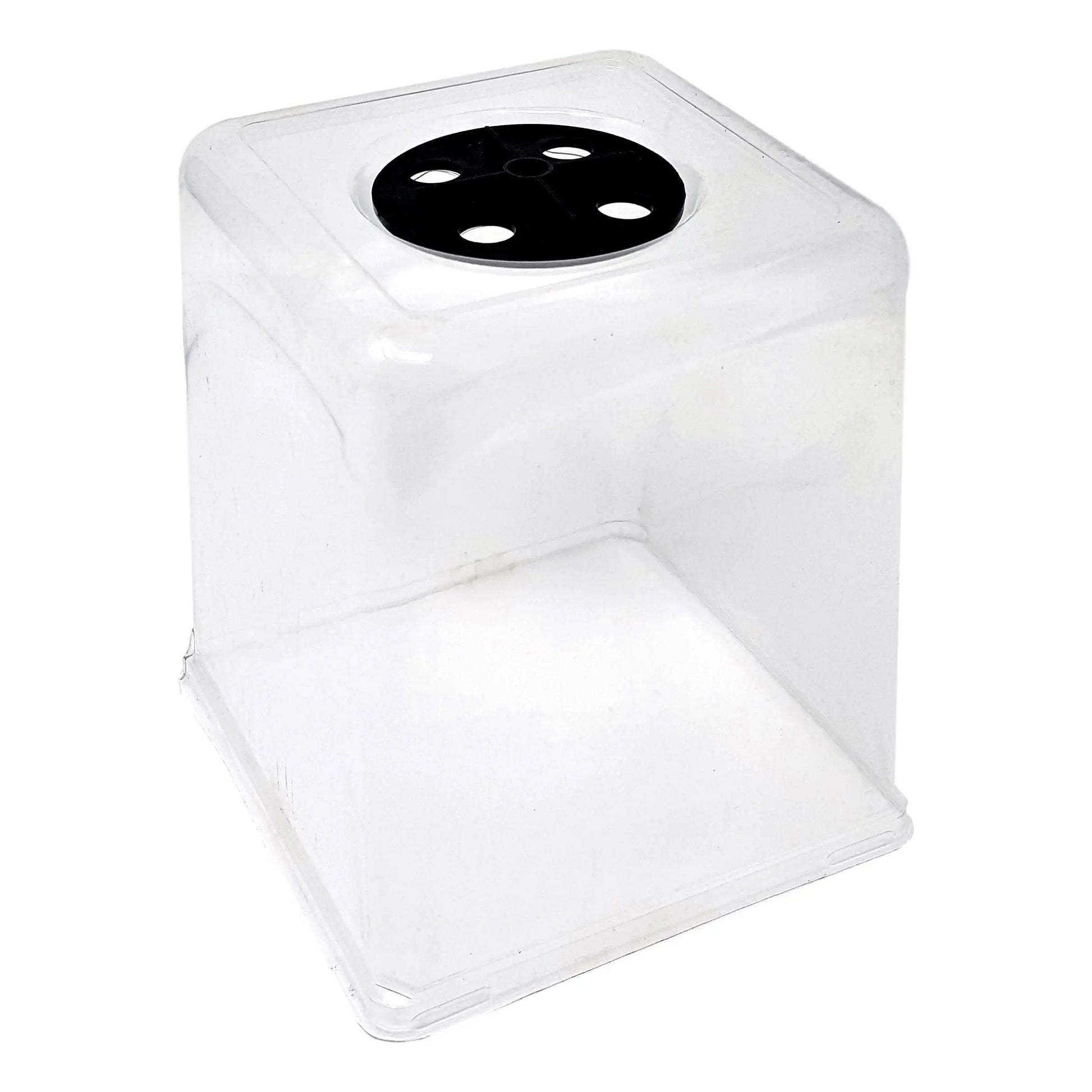 Bootstrap Farmer 5x5 plant humidity dome on tray, clear plastic cover with ventilation holes for seed germination and propagation.