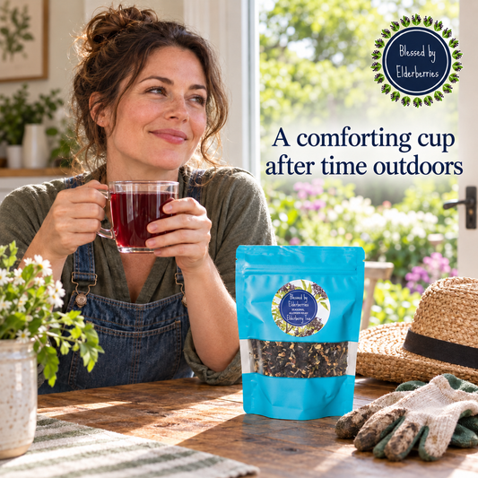 Seasonal Allergy Blend Elderberry Tea