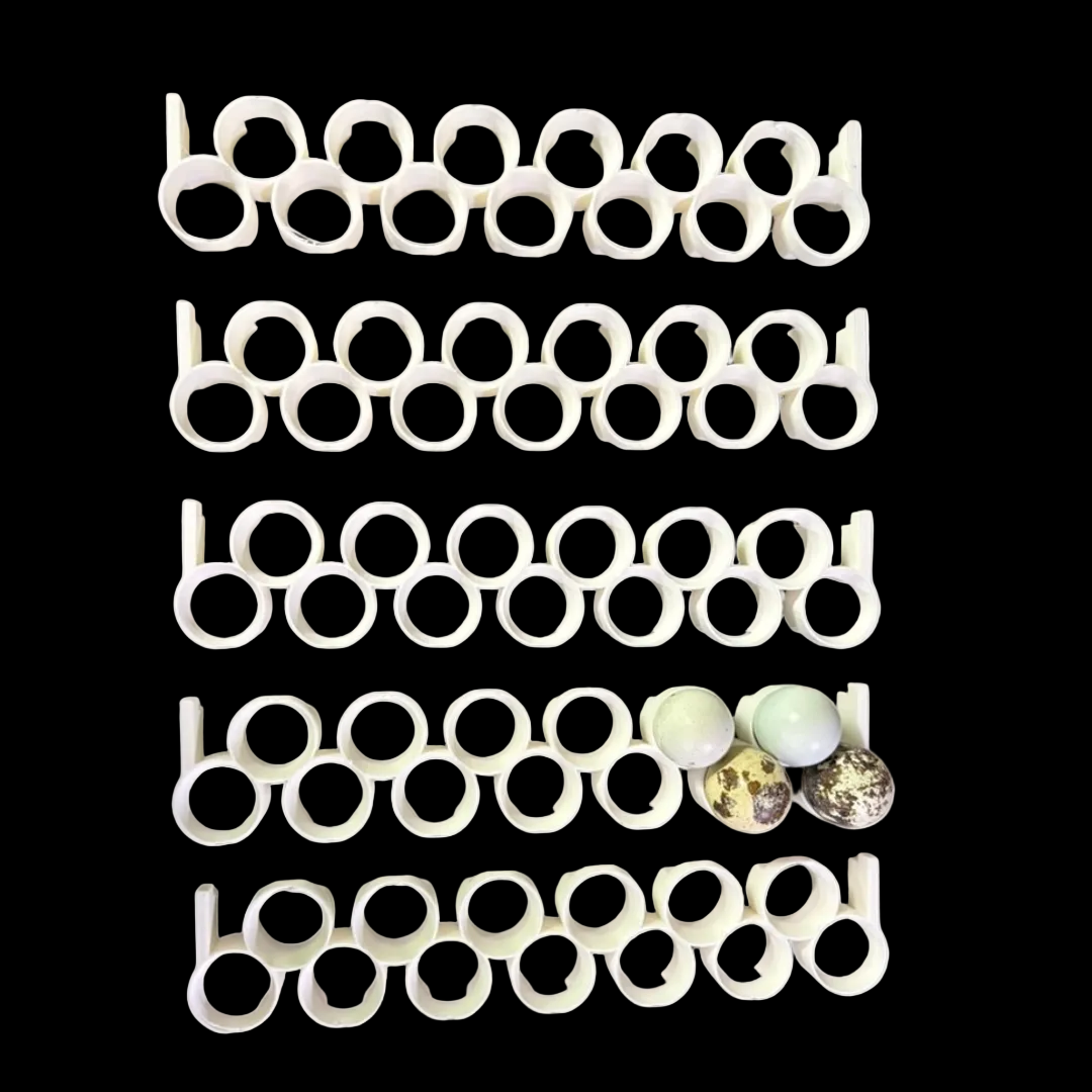 Cimuka®/Hatching Time® 孵化器（CT 系列）專用珍寶鵪鶉蛋軌