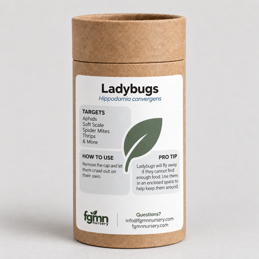 Ladybugs used as natural pest treatment by FGMN Nursery, shown on leaves with green background.
