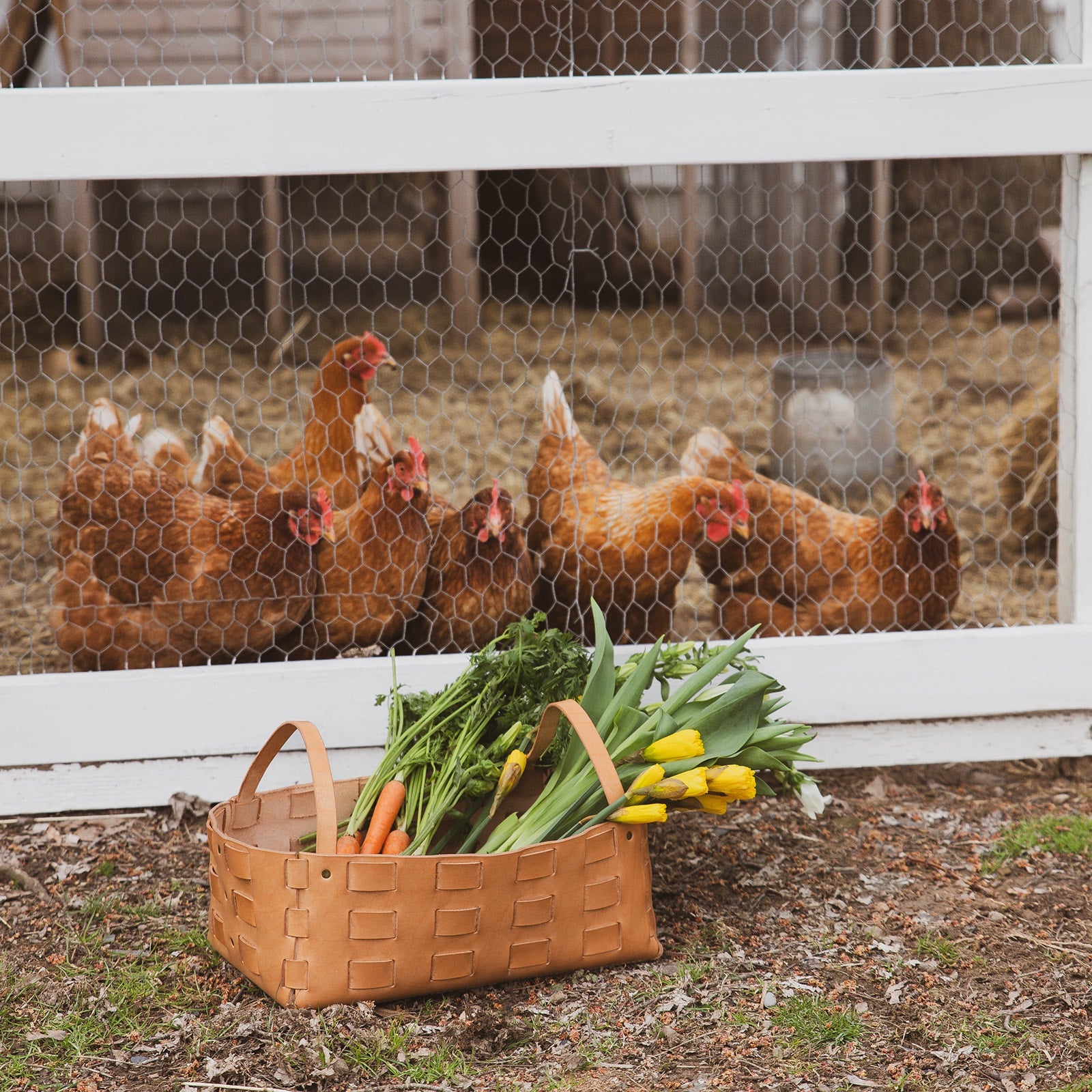 Large leather woven basket by The Local Branch, USA-made, showcasing a sturdy leather exterior and woven design for home storage.
