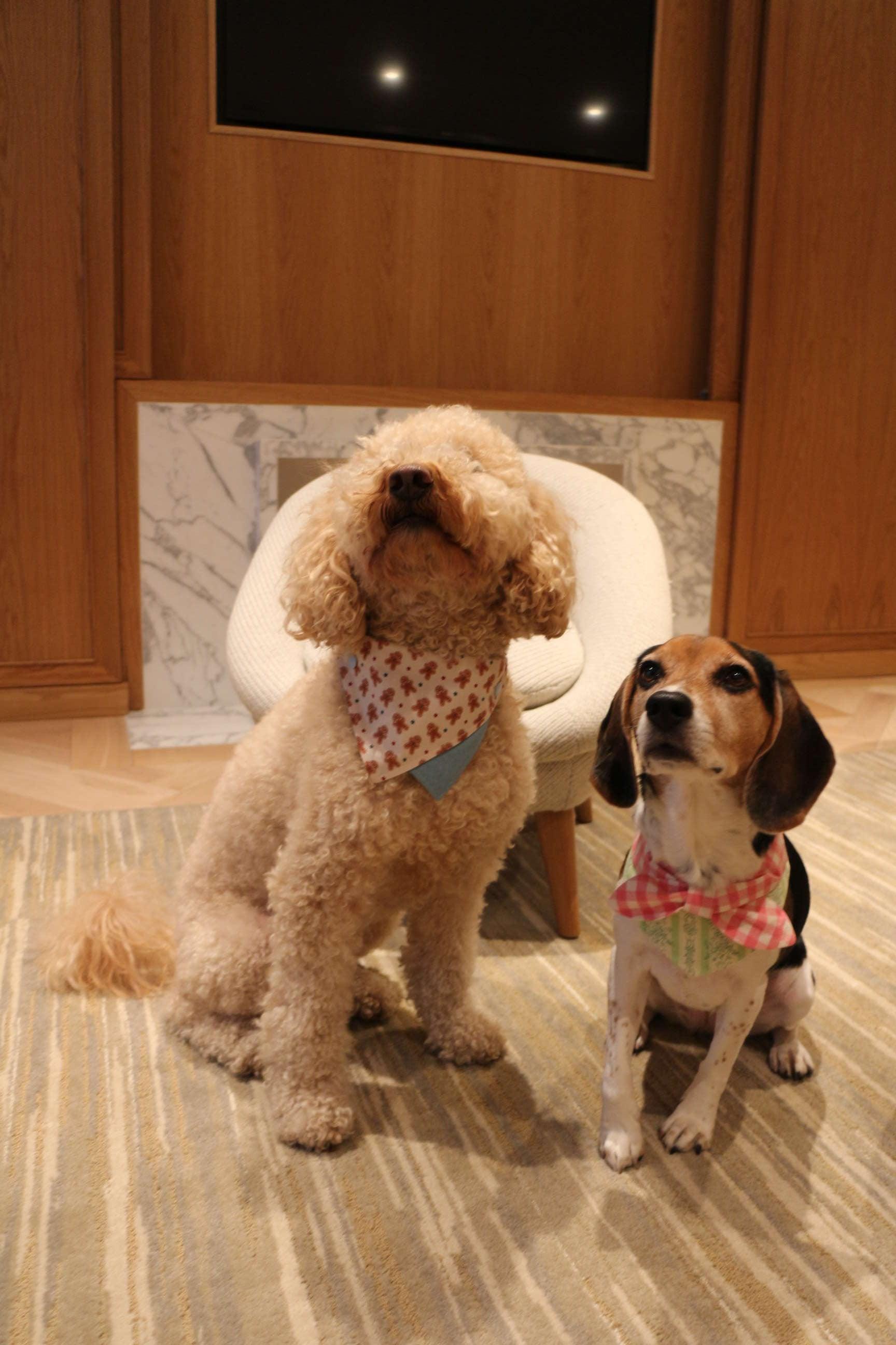 Pink and white floral gingham print BarkBarkBaby picnic bandana with adjustable tie closure on soft fabric.